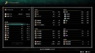 下手の横好きのDemon's Souls Part 4
