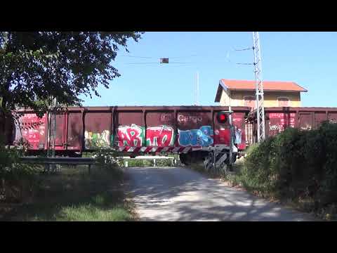Passaggio a livello di via Smonto Riazzone - Casalgrande (RE) / Level Crossing / Planovergang