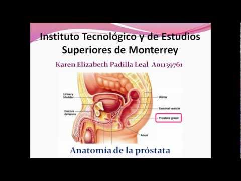 Il colore del seme e prostatite Bagno biopsia prostatica