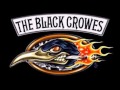 BLACK CROWES - Lucy in the sky with diamonds ...