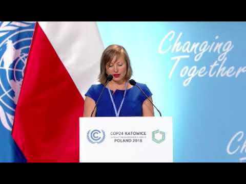 COP RINGO plenary statement - Dr Johanna Nalau