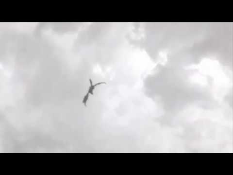 Dragon sighting over Farnworth