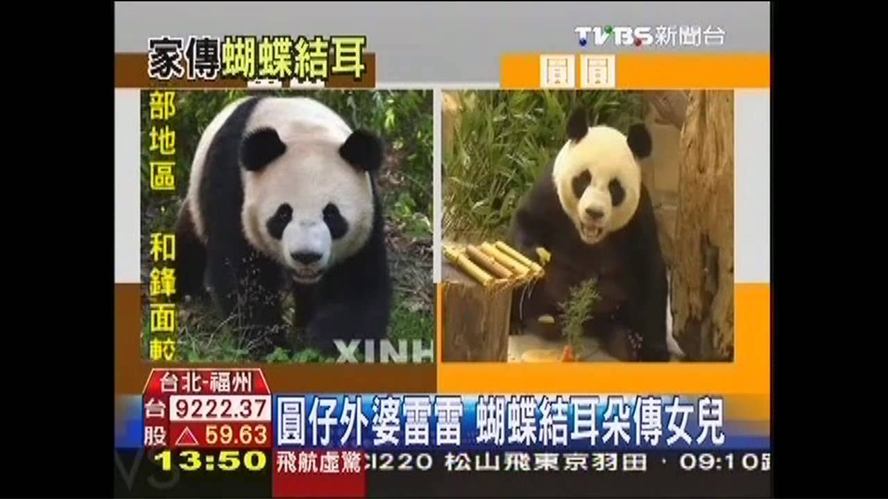 圓仔外婆雷雷　蝴蝶結耳朵傳女兒