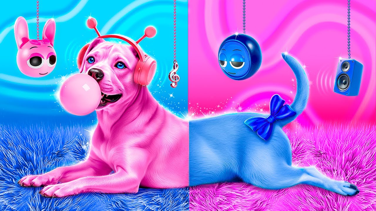 We Saved a Dog! We Built a Secret Pet Room! Blue vs Pink