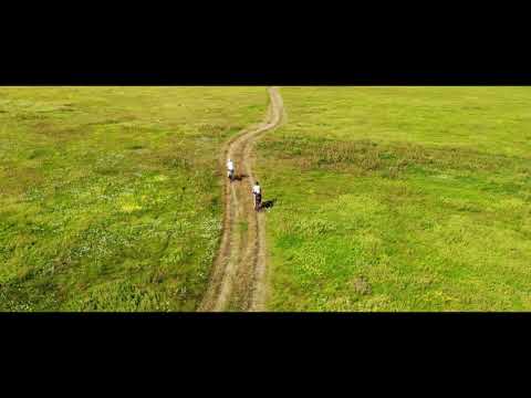 Wakacje w Uroczysku Zaborek 08.2020 [4K]