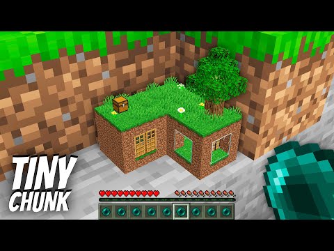 What's INSIDE the TINY CHUNK in Minecraft ? I found a HOUSE in THE CHUNK !