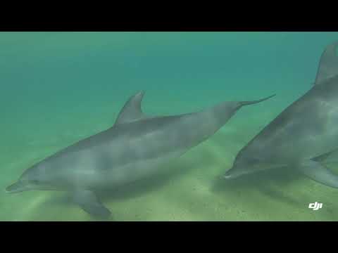 Palm Beach ,Hurghada Dezember 2019