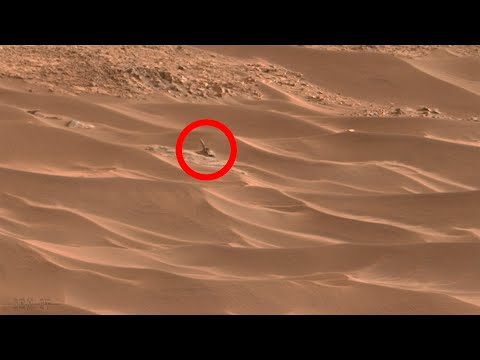 Som ET - 82 - Mars - Curiosity Sol 703 - 3