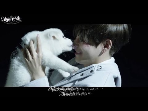 [Engsub+Vietsub] (BTS)방탄소년단 WINGS Short Film #3 STIGMA