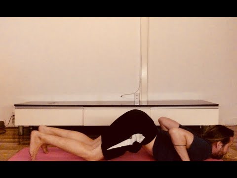Knees, Chest and Chin Pose (Ashtanga Namaskara!)