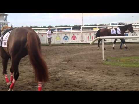 Jägersro Galopp Derby 2014