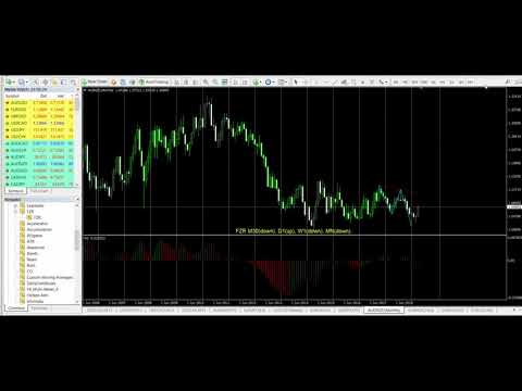 Video FZR Fractal Zigzag Reversal