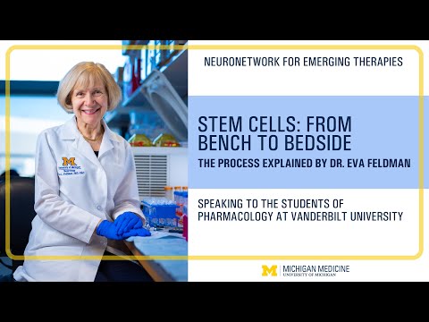 Stem Cells: From Bench to Bedside