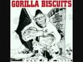 Gorilla Biscuits - No Reason Why.flv