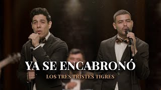 Enrique Iglesias, Juan Luis Guerra - Cuando Me Enamoro | PARODIA &quot;Ya se encabronó&quot;