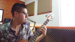 ANOMALIE - VELOURS BASS COVER