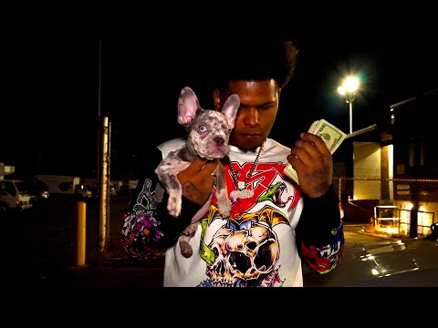 Pollito Trapper -SIN DATA (Official Video)