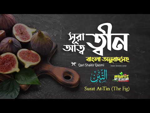 095) সূরা আত-ত্বীন | التين অনুবাদ  Surah At Tin (The Fig) | Qari Shakir Qasmi | mahfuz art of nature