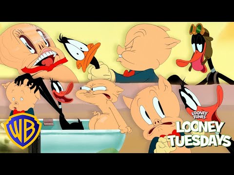 Porky Pig & Daffy Duck being the SILLIEST of billies 🦆🐷  | Looney Tuesdays | @wbkids