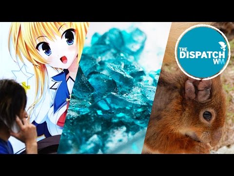 Anime Fights STDs, Medieval Leprosy Lives & Mailing Meth: The Dispatch #40