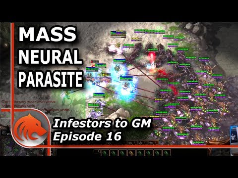 StarCraft 2: Defending ONE Base Proxy Immortals With Infestors..?