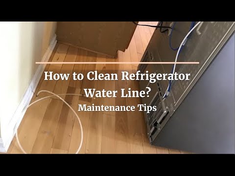 How to Clean Refrigerator Water Line? | Maintenance Tips