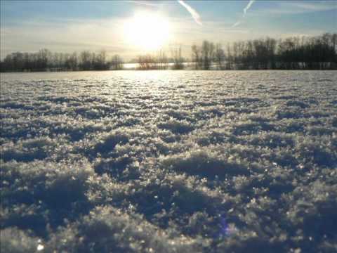 Ivo Fomins - Melna saule