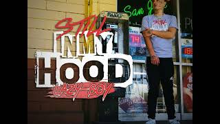 Blue Strips By Lazy Boy