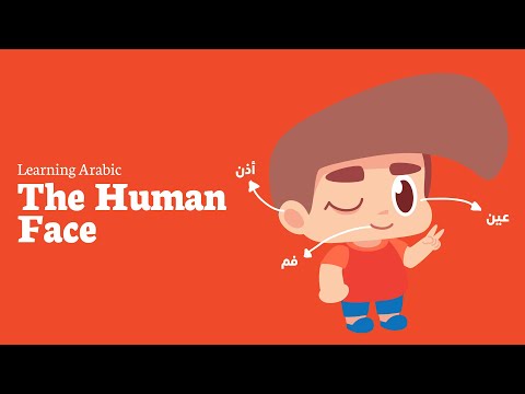Learn Arabic : The Human Face - From AlifBee Kids formally known Arabian Sinbad
