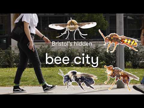Bristol's Hidden Bee City