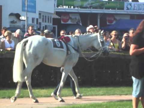 Sixteen paddock Pardubice 18.8.2012