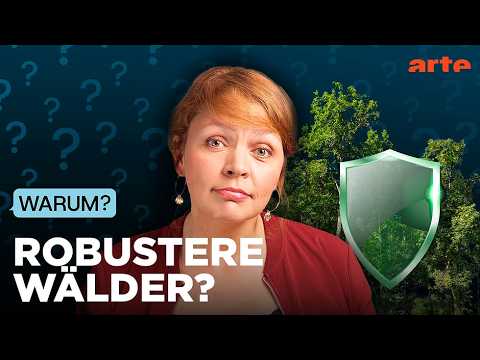 Video Thumbnail: Wie werden Wälder feuerbeständiger? | Warum? | ARTE Info