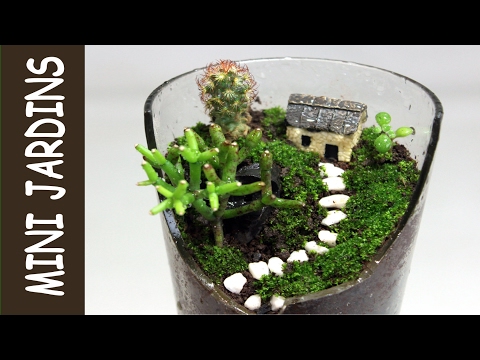 Micro jardim no copo quebrado | Very small garden in a broken glass - Cactos e suculentas