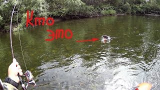 На что лучше ловить ленка осенью