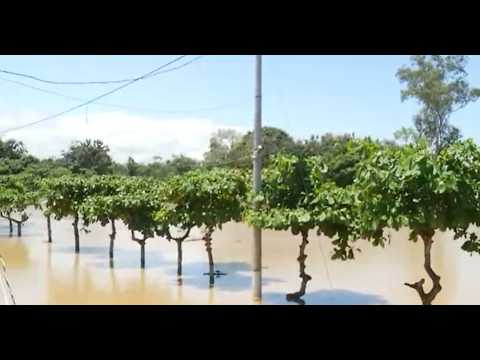 Inundaciones en Balao, Guayas, tras 48 horas de lluvia: clases suspendidas y familias damnificadas