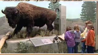 South Dekota ,USA Travel Videos