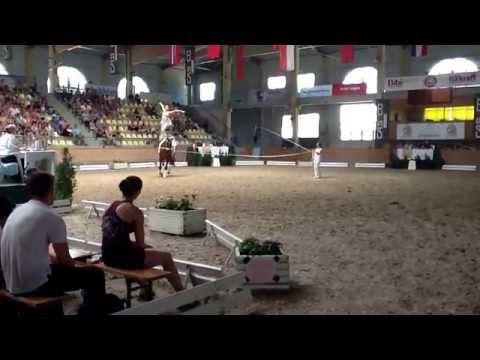 CVIO Stadl Paura 2014 - Kathrin Humann - Freestyle
