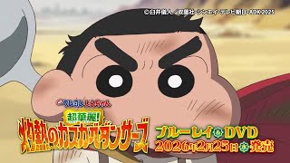 『映画クレヨンしんちゃん 超華麗！灼熱のカスカベダンサーズ』 ブルーレイ＆DVD発売告知CM