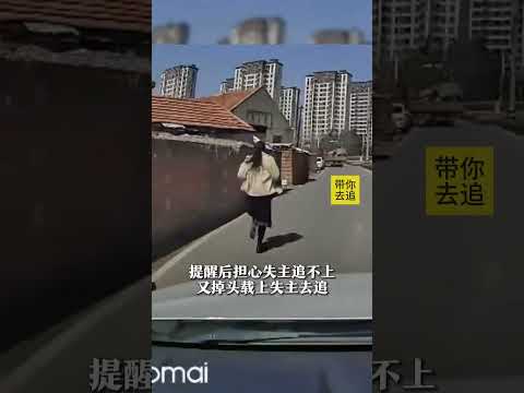 山东青岛。女子手机掉地上被货车司机秒捡走，好心人目睹全过程：上车！带你去追！
