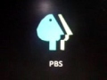 PBS 1994