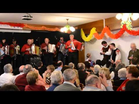 Internationales Harmonikatreffen in Bad Eisenkappel/Vellach im GH Podobnik 9.2.2014