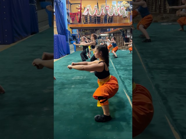 Vídeo relacionado con Kung Fu Cat Hanbo Eskrima Kungfu Kali Kitten Artes Marciales Sudadera