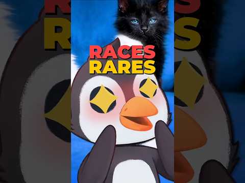 🐧 abonne-toi ! #nature #animaux #nasteekh