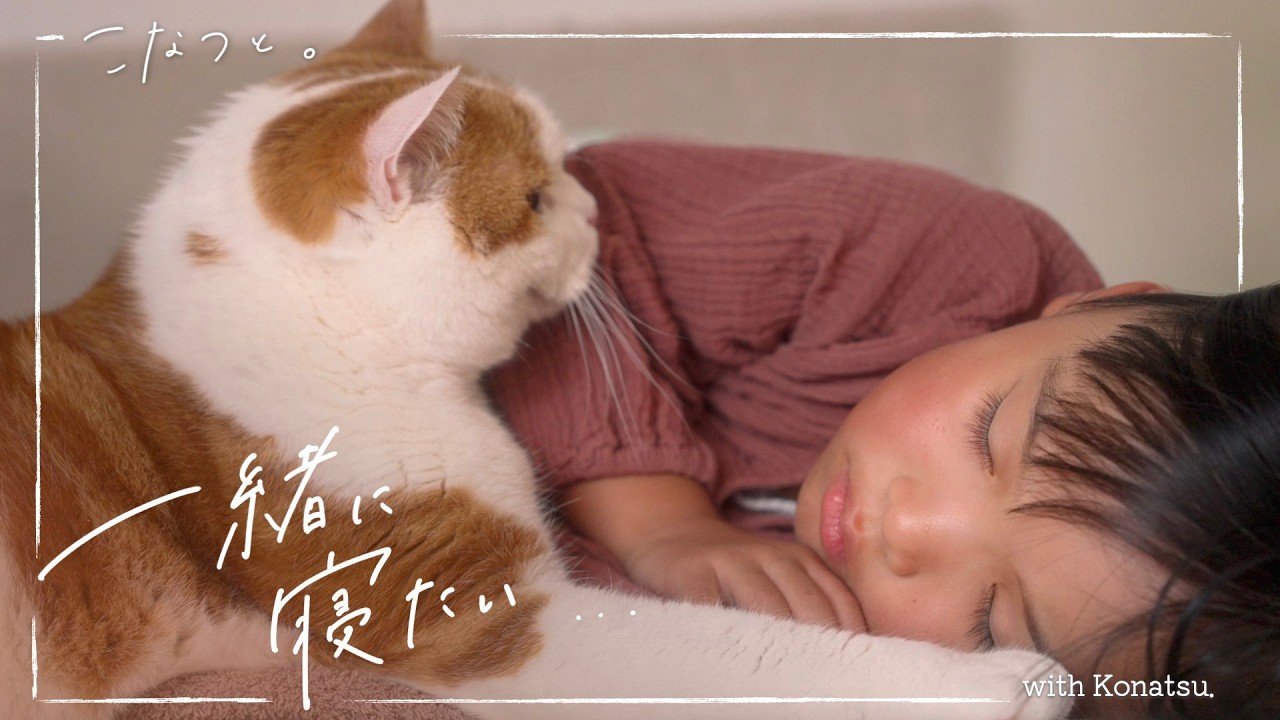 どうしてもくっついて寝たい猫とお昼寝