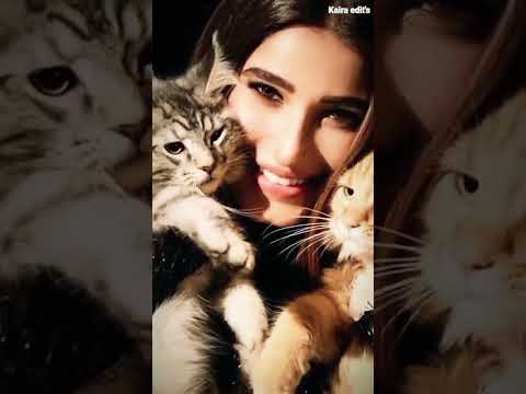 raveena tandon's cutie 🥰 #raveenatandon#rashathdani#viralshort