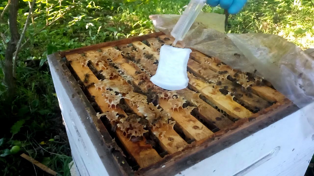 Муравьинка пакет 4 шт по 30 г. Обработка пчел муравьиной кислотой. Муравьиная кислота в пчеловодстве. Обработка пчел муравьиной кислотой. Кассета для термообработки пчел.