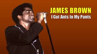 JAMES BROWN I Got Ants In My Pants