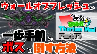 【ゆっくり実況】無知な初級者のThorium Mod Part17【Terraria】