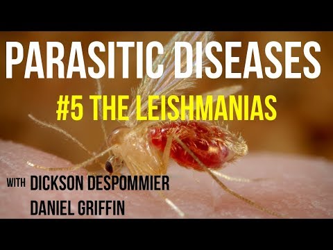 Parasites Without Borders, Parasitic Diseases Lectures #5: The Leishmanias
