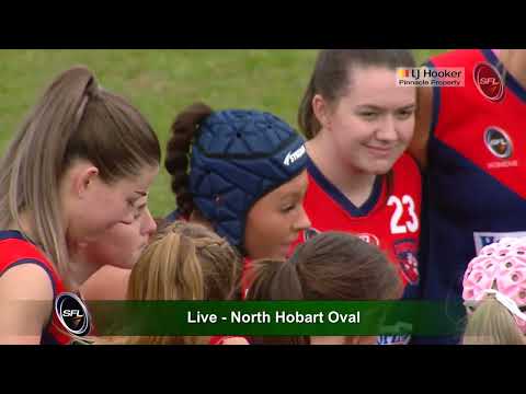LJ Hooker Pinnacle Property 2023 SFLW Div1 Grand Final